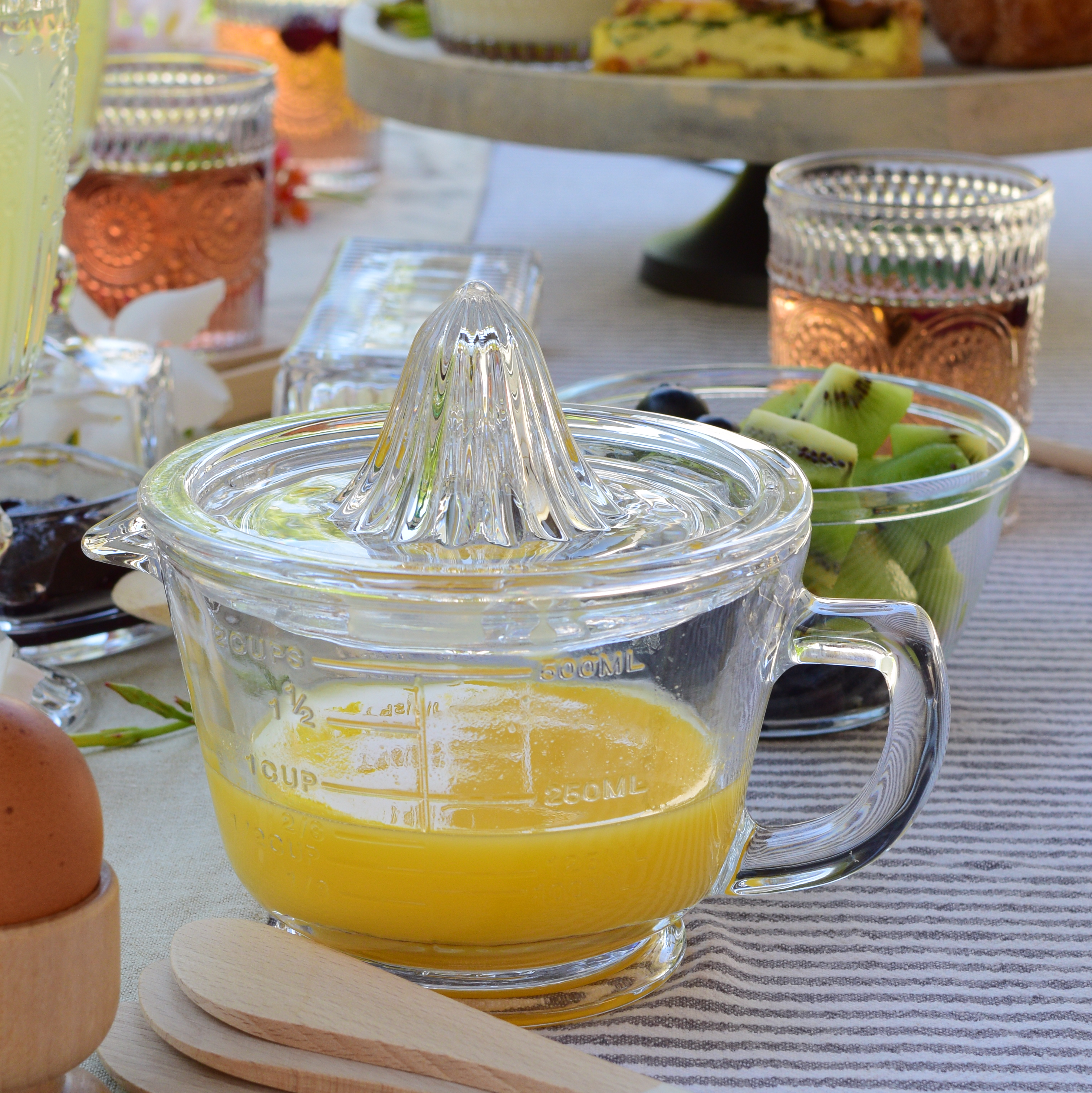 Glass Citrus Juicer